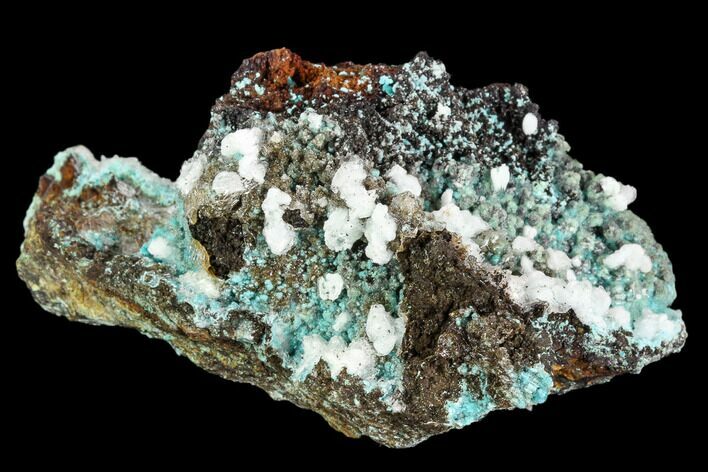 Rosasite, Aurichalcite and Selenite Crystal Association - Utah #109818